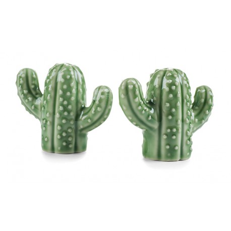 Sale e pepe cactus set